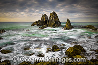 Camel Rocks Bermagui Photo - Gary Bell
