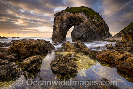 Horse Head Rock Bermagui photo Horse Head Rock Bermagui photo