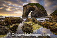 Horse Head Rock Bermagui Photo - Gary Bell
