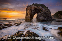 Horse Head Rocks Bermagui Photo - Gary Bell