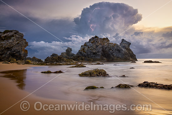 Camel Rocks Bermagui photo Camel Rocks Bermagui photo