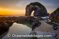 Horse Head Rock Bermagui Photo - Gary Bell