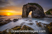 Horse Head Rock Bermagui Photo - Gary Bell