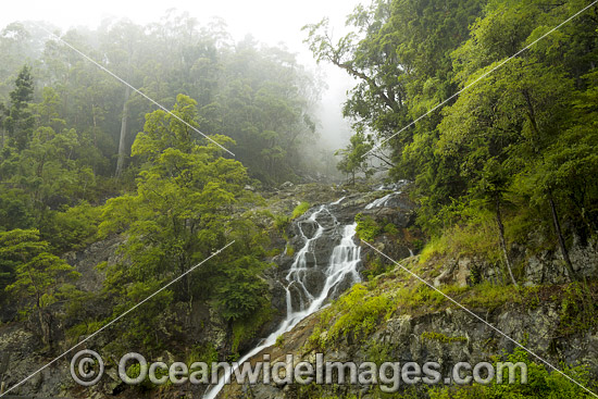 Dorrigo Waterfall photo