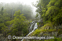 Dorrigo Waterfall Photo - Gary Bell