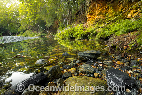Never Never River Bellingen photo