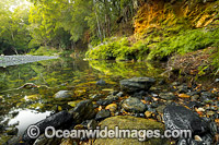 Never Never River Bellingen Photo - Gary Bell