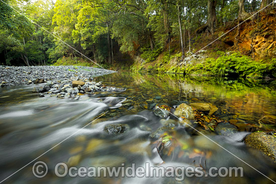 Water Hole Bellingen photo