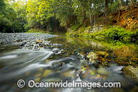 Water Hole Bellingen Photo - Gary Bell