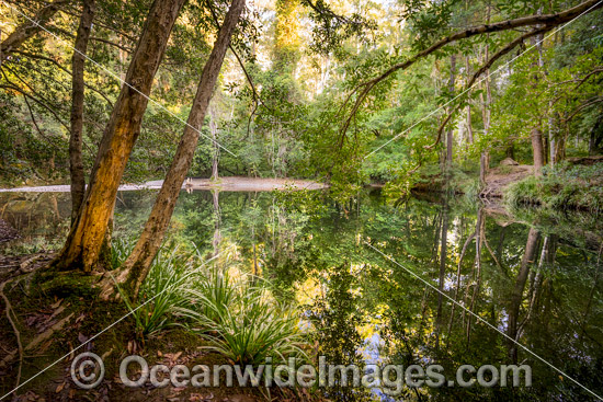 Never Never River Bellingen photo