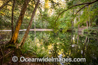 Never Never River Bellingen Photo - Gary Bell
