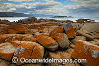Diamond Island Bicheno Photo - Gary Bell