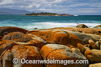 Diamond Island Bicheno Photo - Gary Bell