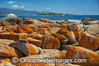 Diamond Island Bicheno Photo - Gary Bell
