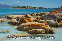 Diamond Island Bicheno Photo - Gary Bell