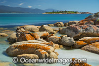 Diamond Island Bicheno Photo - Gary Bell