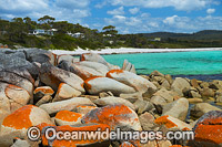 Bay of Fires Tasmania Photo - Gary Bell