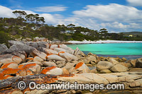 Bay of Fires Tasmania Photo - Gary Bell