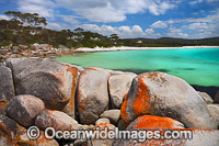 Bay of Fires Tasmania Photo - Gary Bell