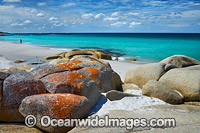 Bay of Fires Tasmania Photo - Gary Bell