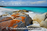 Bay of Fires Tasmania Photo - Gary Bell