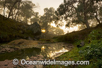 Water gully on farmland Northern Tablelands Photo - Gary Bell