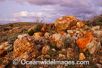 Mundi Mundi Plains Photo - Gary Bell