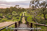 Historic Kinchega Woolshed Photo - Gary Bell