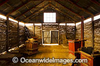 Mungo Woolshed Photo - Gary Bell