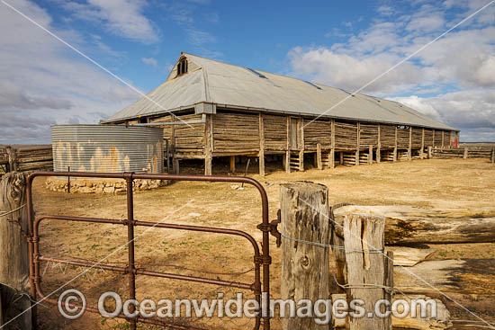 Mungo Woolshed photo