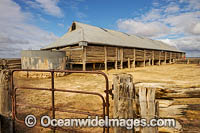 Mungo Woolshed Photo - Gary Bell