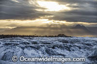 Cape Fur Seal colony Photo - Chris & Monique Fallows