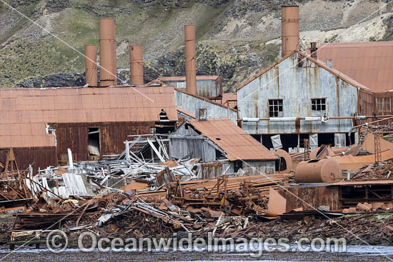 Relics of Whaling station photo Relics of Whaling station photo