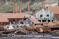 Relics of Whaling station Photo - Chris & Monique Fallows