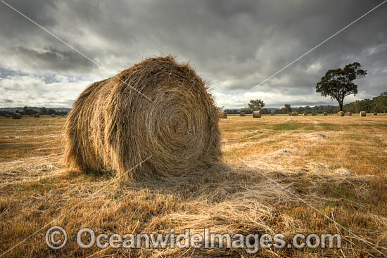 Hay Bales Country NSW photo Hay Bales Country NSW photo