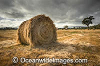 Hay Bales Country NSW Photo - Gary Bell