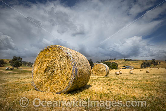 Hay Bales Country NSW photo Hay Bales Country NSW photo