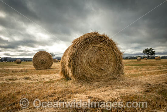 Hay Bales Colac NSW photo Hay Bales Colac NSW photo