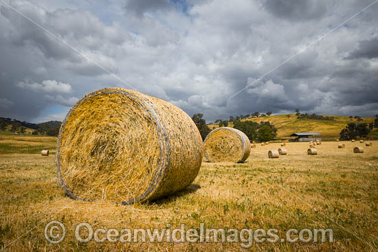 Hay Bales Country NSW photo Hay Bales Country NSW photo