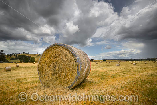 Hay Bales Country NSW photo Hay Bales Country NSW photo