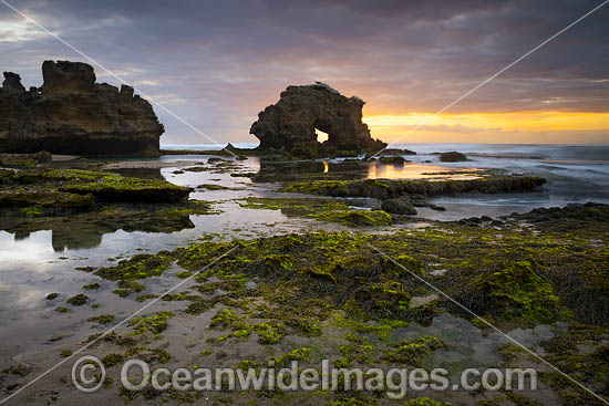 Bridgewater Bay Victoria photo