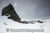 Chinstrap Penguins Photo - Chris and Monique Fallows