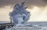 Breaking wave Cape Town Photo - Chris and Monique Fallows