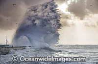 Breaking wave Cape Town Photo - Chris and Monique Fallows