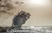 Huge breaking wave Photo - Chris and Monique Fallows