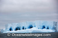 Iceberg Antarctica Photo - Chris and Monique Fallows