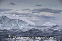 Iceberg Antarctica Photo - Chris and Monique Fallows