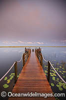 Jetty Okavango Delta Photo - Chris and Monique Fallows