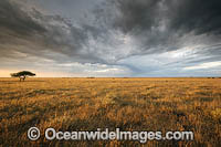 Namib Desert Photo - Chris and Monique Fallows