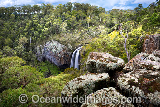 Ebor Falls photo
